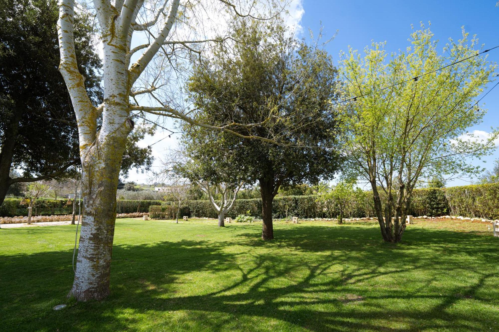 Masseria San Michele 마르티나프란카 외부 사진