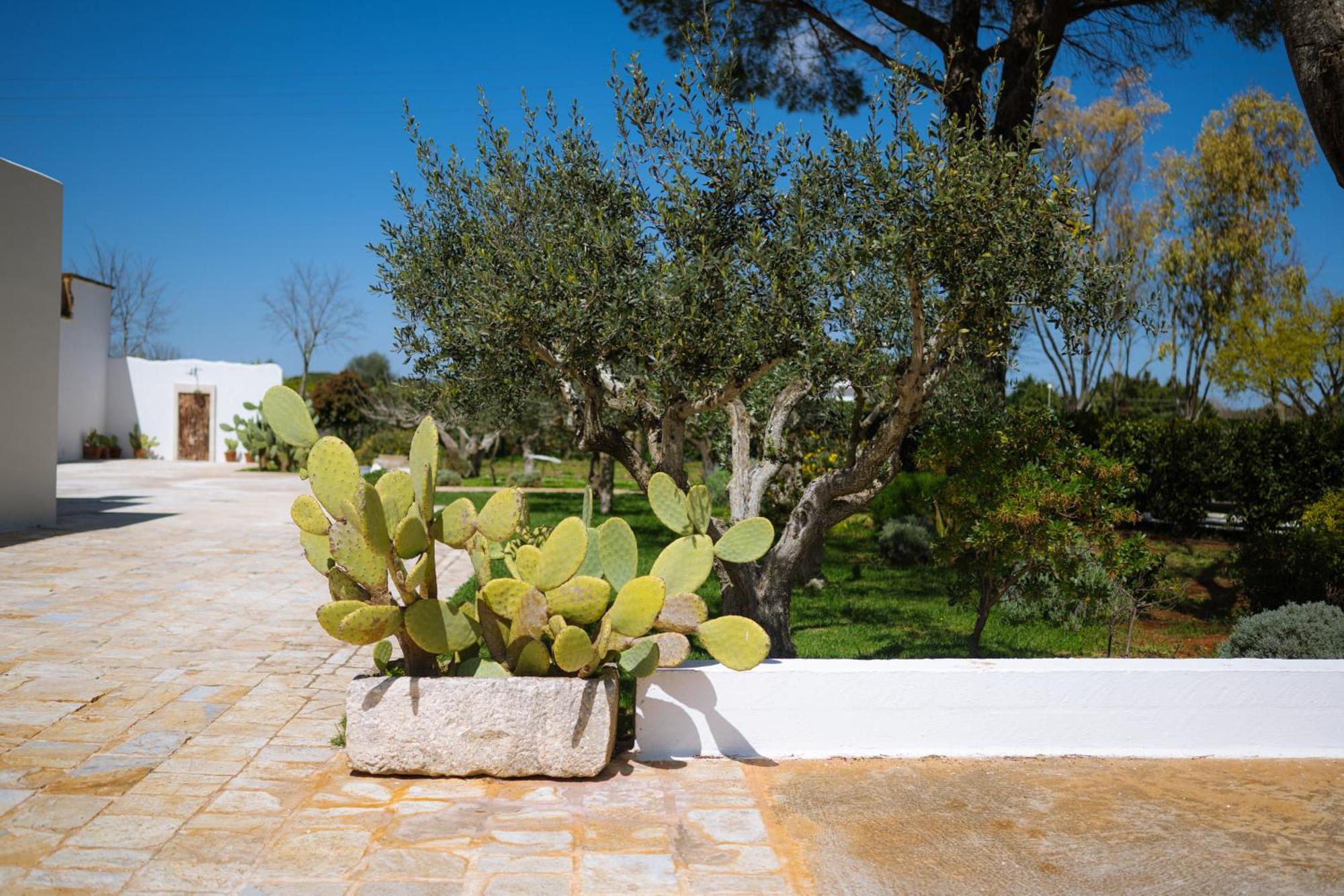 Masseria San Michele 마르티나프란카 외부 사진